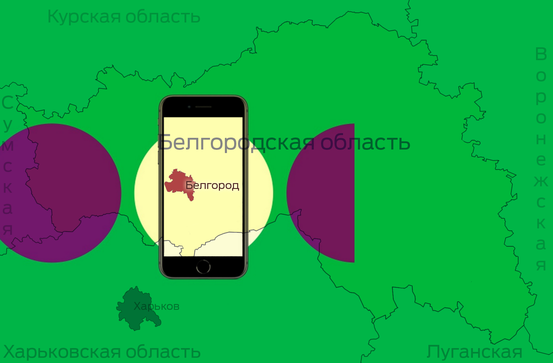 Белгородские юзеры смотрят видео чаще в Instagram, чем в онлайн-кинотеатрах 1