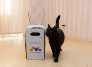 Sitilink_kot-300x217 Ситилинк_кот