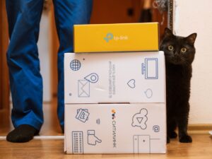 Sitilink_kot-300x225 Ситилинк_кот