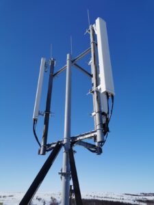 BS-Hongurej-225x300 БС Хонгурей