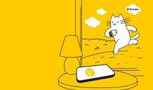 Nomer1-300x177 Номер1