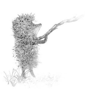 yozhik-285x300 ёжик