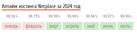 Aptajm hostinga Netplace za 2024 god