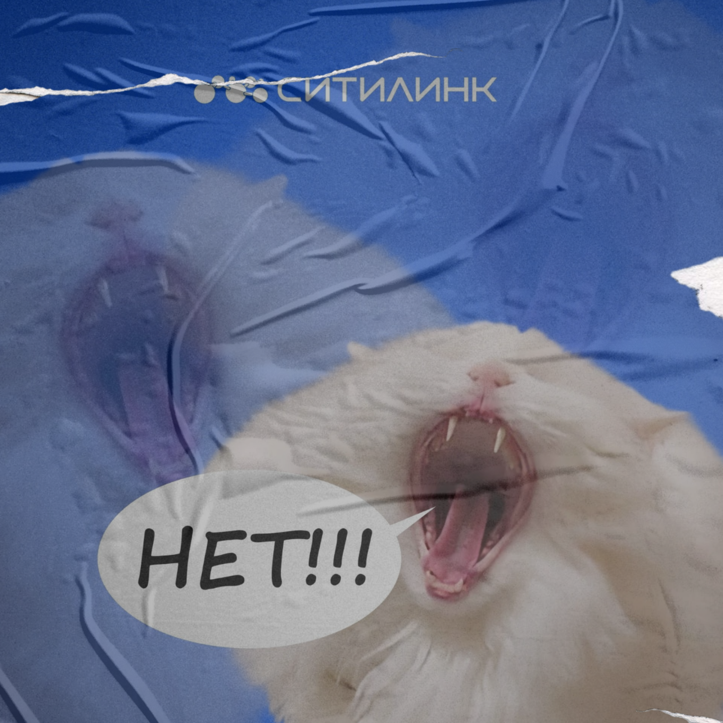 NET Ситилинк в Мурманске: стоит ли подключаться?